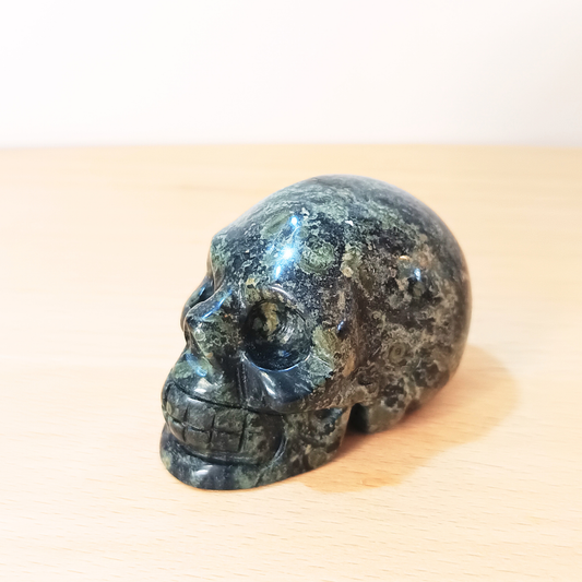 Kambaba Jasper Skull