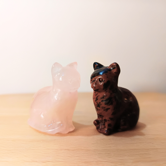 Watchful Cats